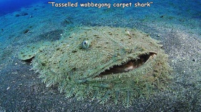 Acid Picdump 1 (85 pics)