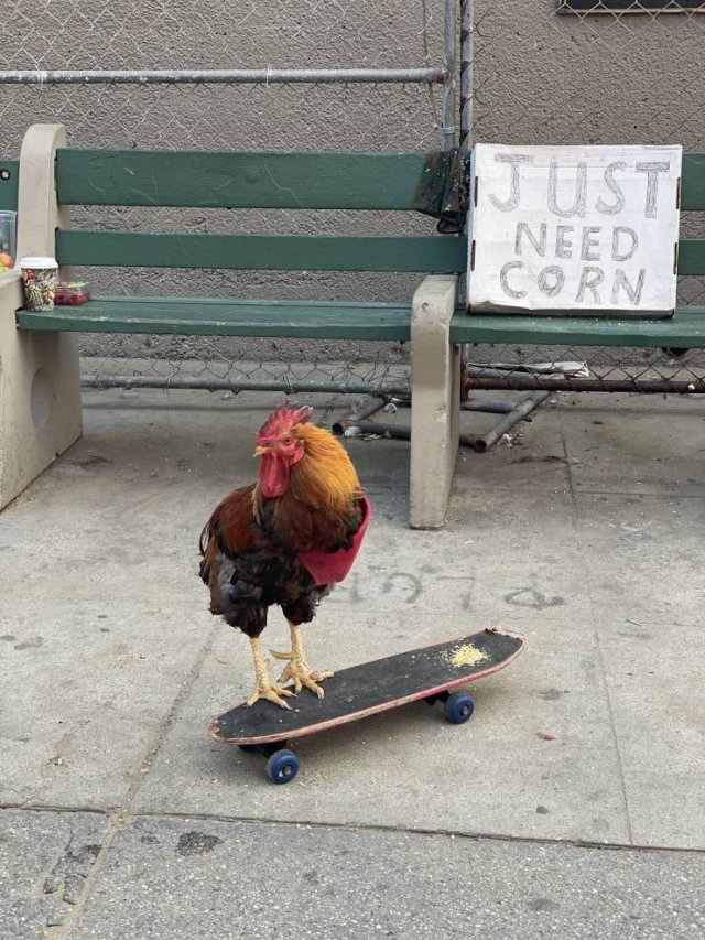 Acid Picdump 2 (83 pics)