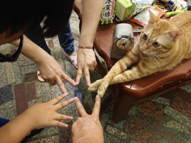 Acid Picdump 1 (85 pics)
