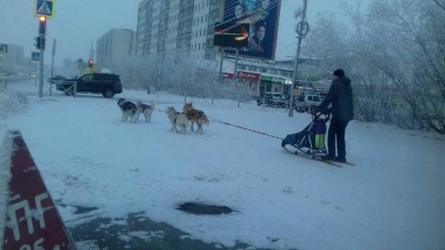 Acid Picdump 1 (85 pics)