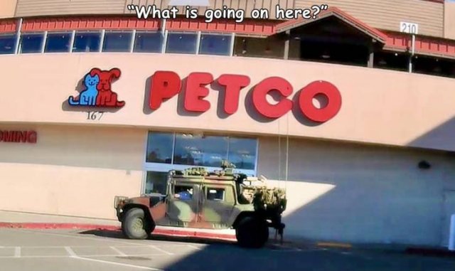 Acid Picdump 1 (85 pics)