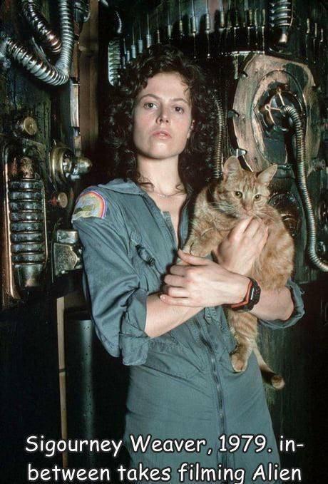 Acid Picdump 1 (85 pics)