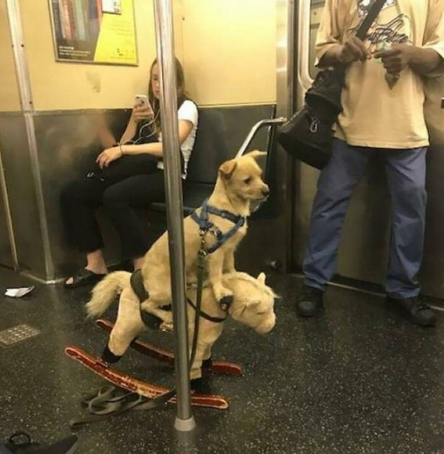 Subway Passengers (44 pics)