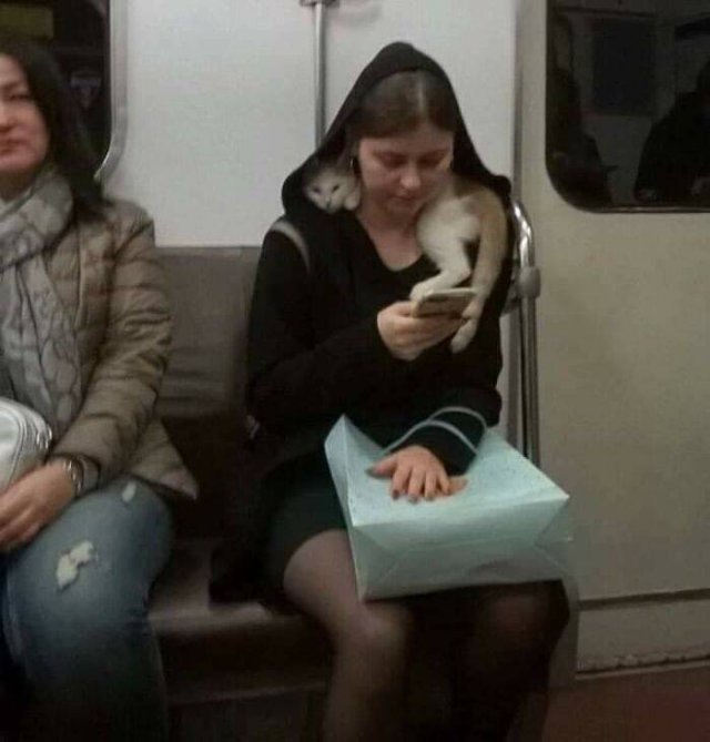 Subway Passengers (44 pics)