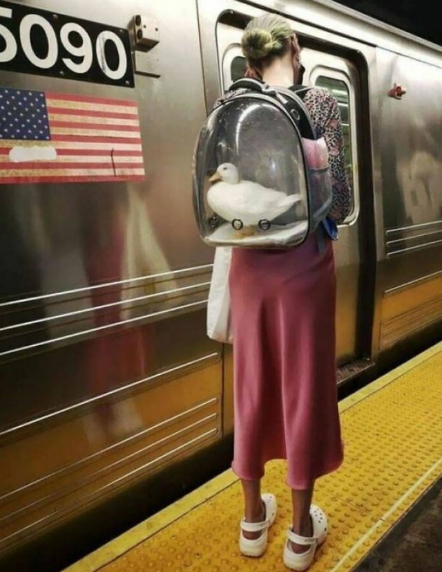 Subway Passengers (44 pics)