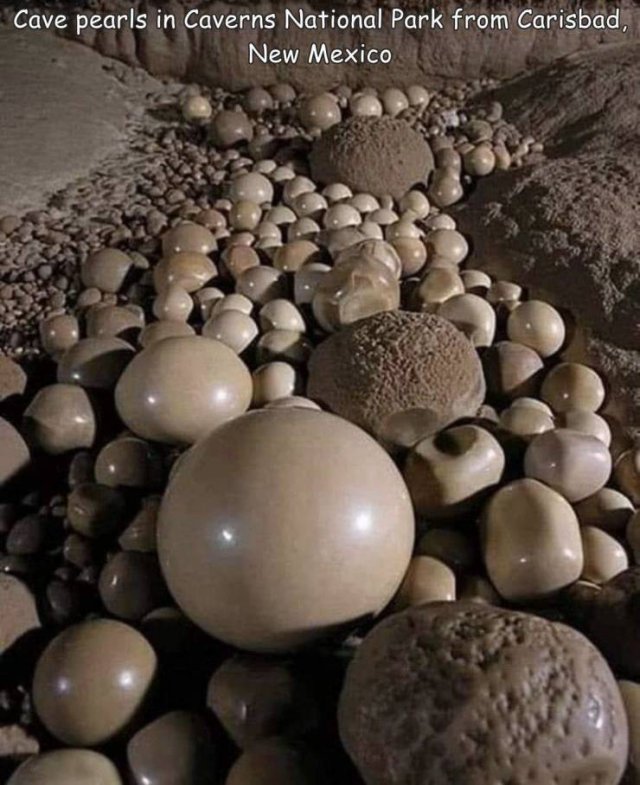 Acid Picdump 2 (84 pics)