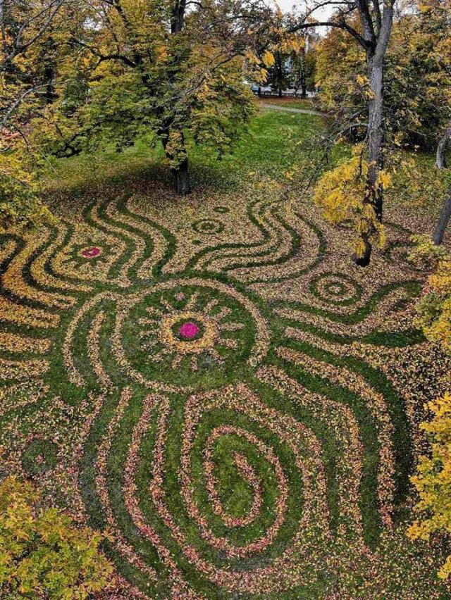 Acid Picdump 2 (84 pics)