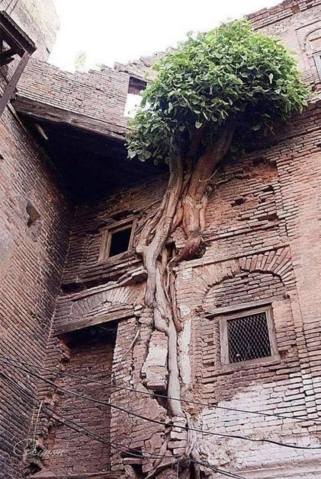 Abandoned Places (32 pics)