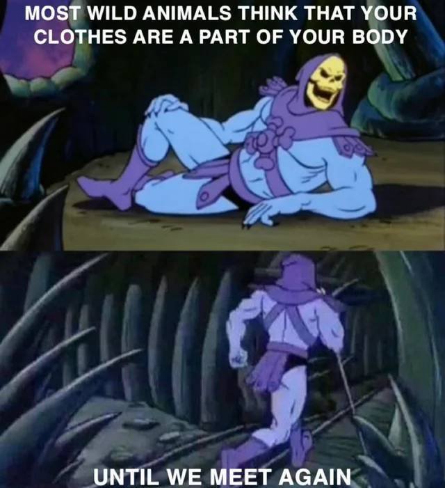 Acid Picdump 2 (84 pics)
