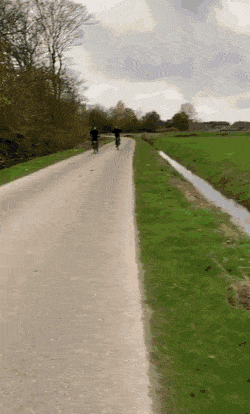 Acid Gifdump, November 24 (25 gifs)
