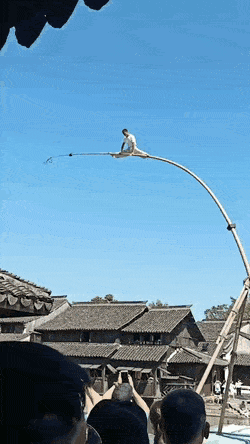 Acid Gifdump, November 24 (25 gifs)