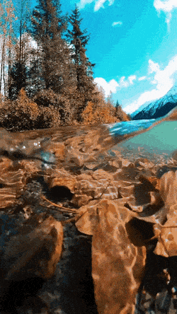 Acid Gifdump, November 24 (25 gifs)