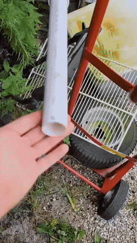 Acid Gifdump, November 24 (25 gifs)