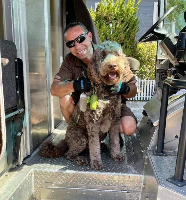 UPS Drivers And Cute Dogs (30 pics)