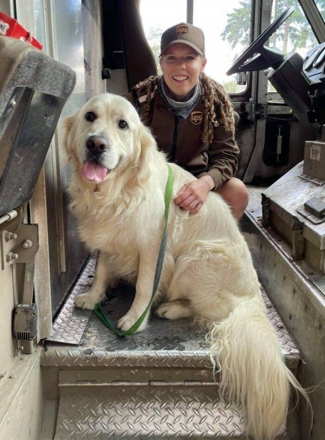 UPS Drivers And Cute Dogs (30 pics)