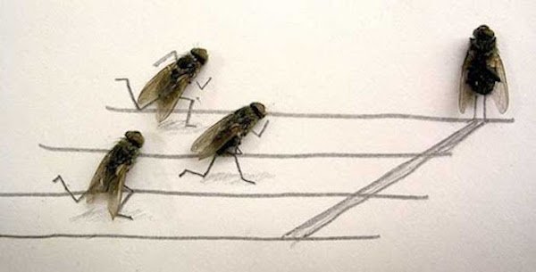 Creative Or Not? (27 pics)