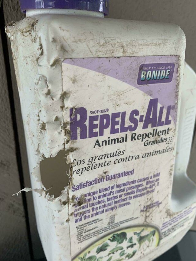 Home Catastrophes (49 pics)