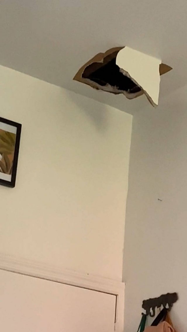Home Catastrophes (49 pics)