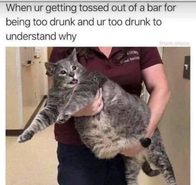 Random Funny Memes (50 pics)