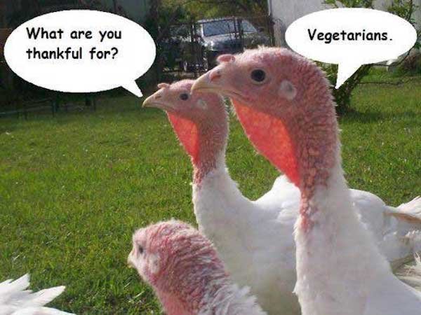 Thanksgiving Day Memes (59 pics)