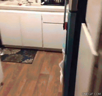 Acid Gifdump, November 25 (25 gifs)