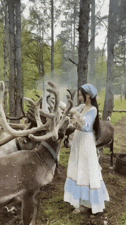 Acid Gifdump, November 25 (25 gifs)