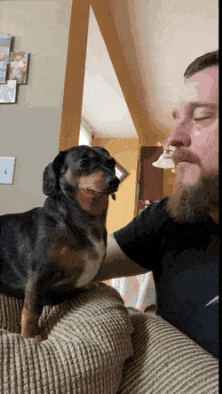 Acid Gifdump, November 25 (25 gifs)