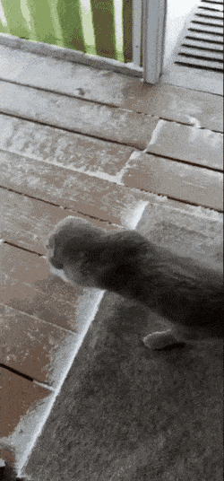 Acid Gifdump, November 25 (25 gifs)