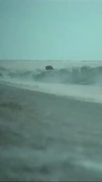 Acid Gifdump, November 25 (25 gifs)