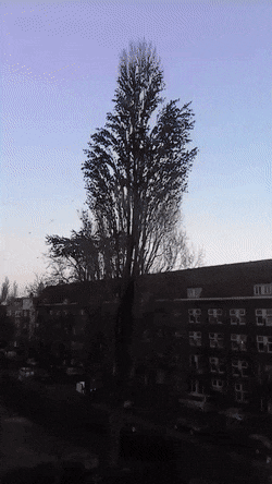 Acid Gifdump, November 26 (25 gifs)