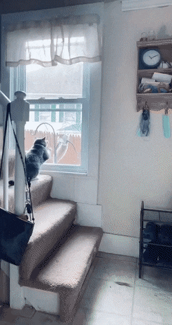 Acid Gifdump, November 26 (25 gifs)
