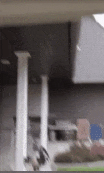 Acid Gifdump, November 26 (25 gifs)