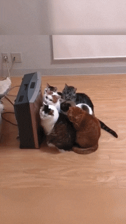 Acid Gifdump, November 26 (25 gifs)