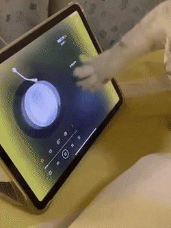 Acid Gifdump, November 26 (25 gifs)