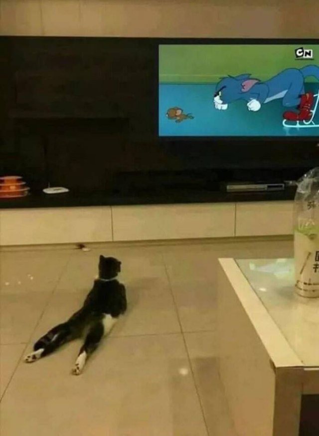 Explanation Needed (42 pics)