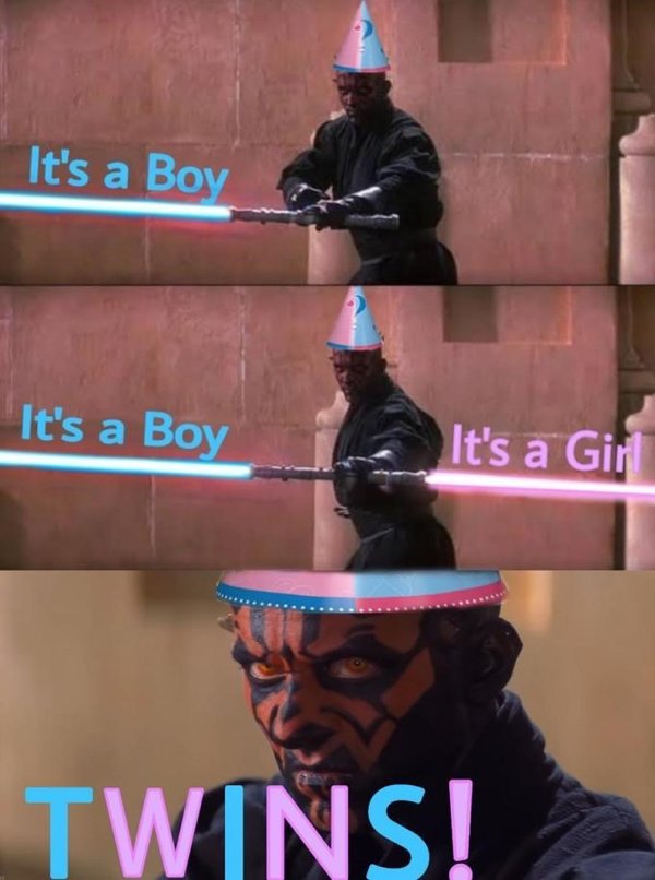 Gender Reveal Memes (29 pics)