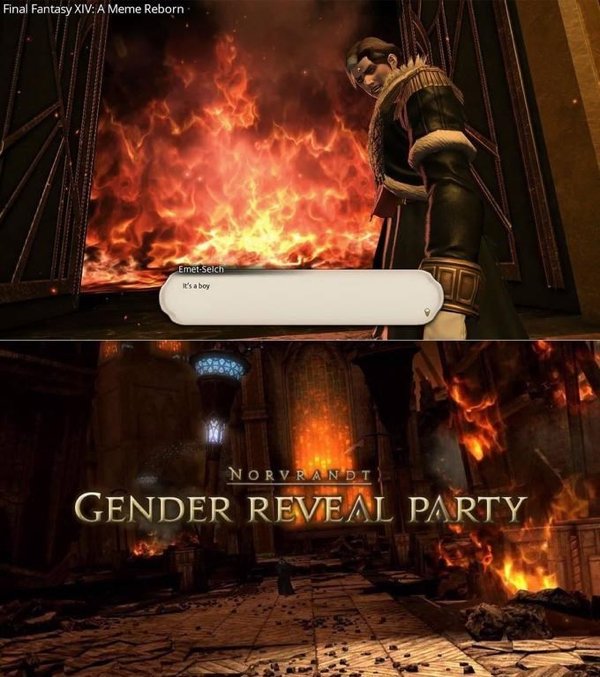 Gender Reveal Memes (29 pics)