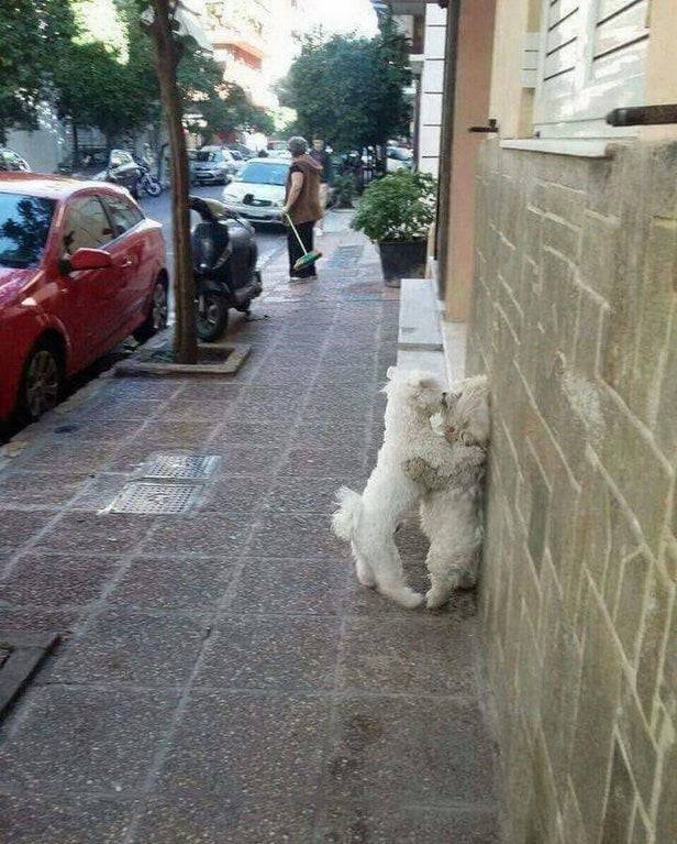 Acid Picdump 2 (79 pics)
