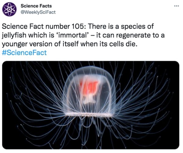 Science Facts (30 pics)