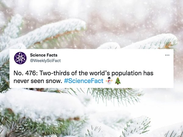 Science Facts (30 pics)