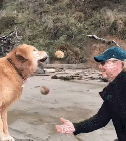 Acid Gifdump, December 2 (25 gifs)