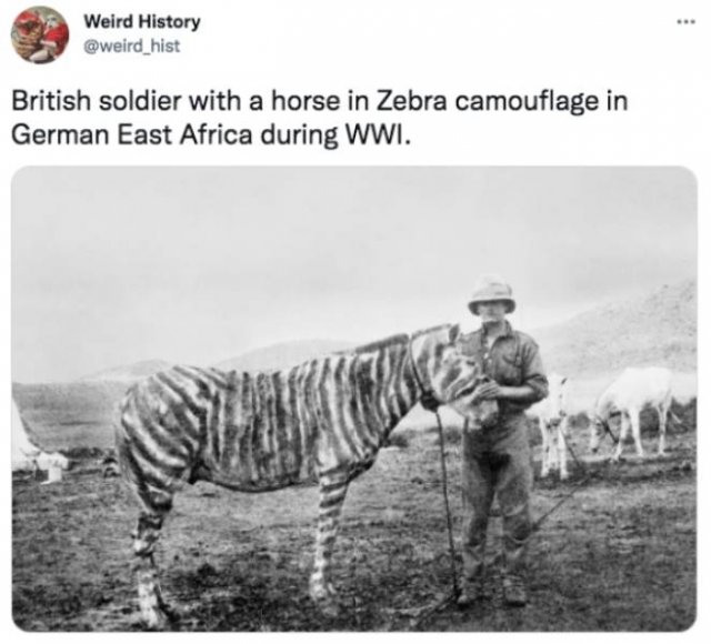 History Facts (29 pics)