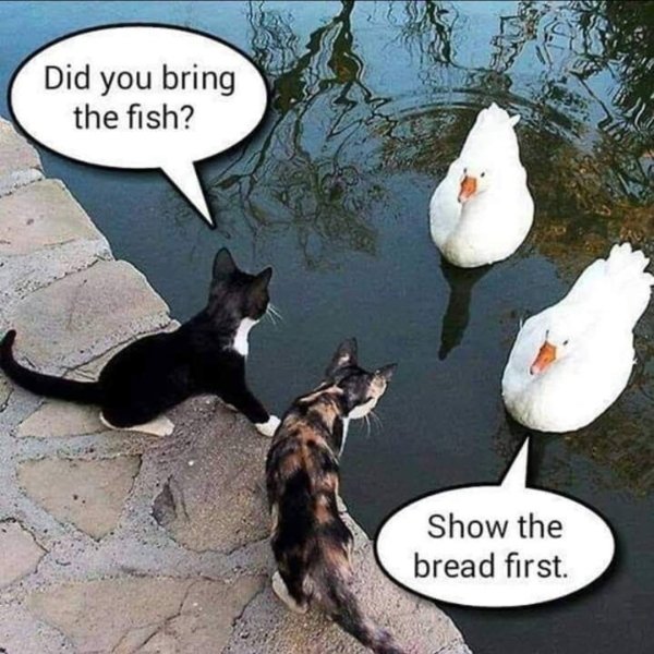 Random Funny Memes (38 pics)