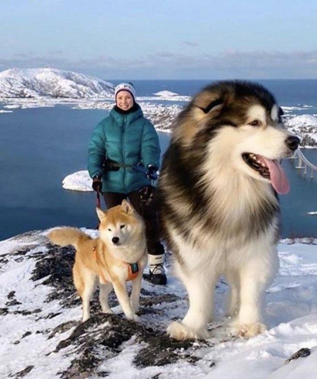 Look Twice (52 pics)