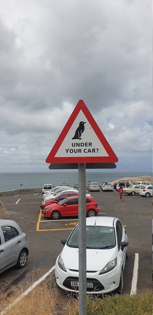 Weird Signs (38 pics)