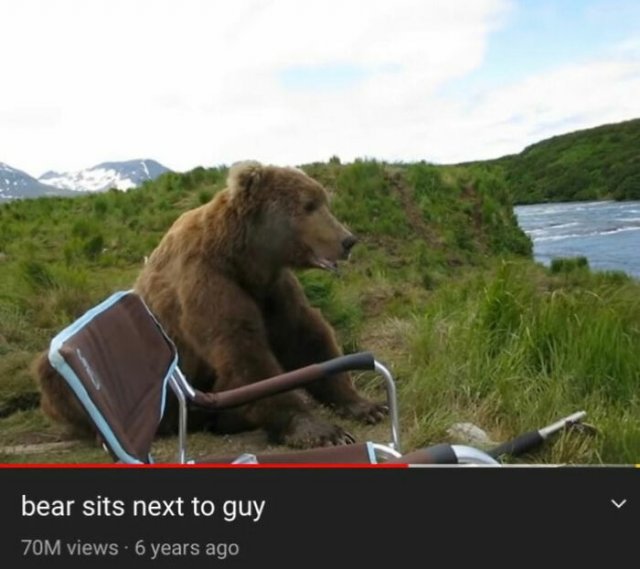 Funny Animals (51 pics)