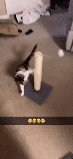 Acid Gifdump, December 7 (25 gifs)