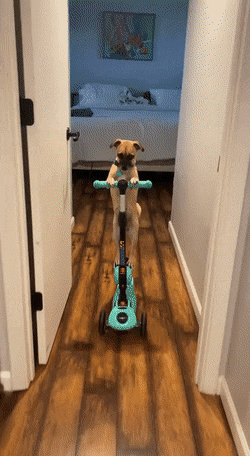 Acid Gifdump, December 7 (25 gifs)