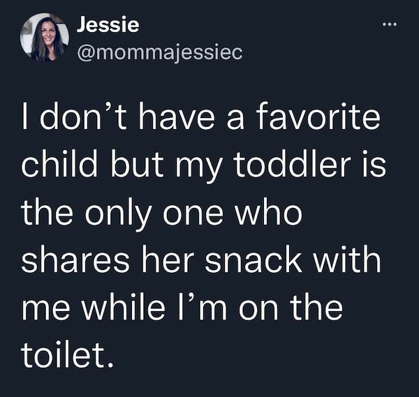 Humor About Toddlers (24 pics)