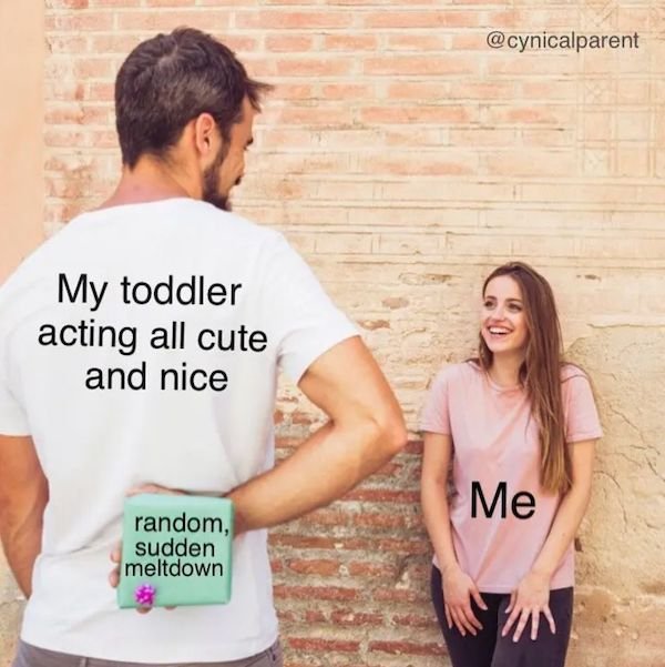 Humor About Toddlers (24 pics)